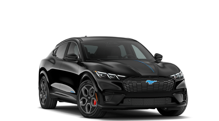 Mustang Mach-E® vehicle